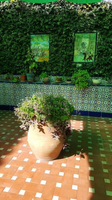Sevilla A Tus Pies Mairena del Aljarafe Esterno foto
