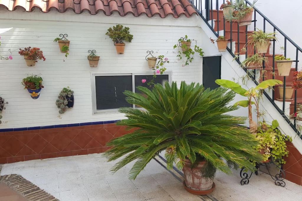 Sevilla A Tus Pies Mairena del Aljarafe Esterno foto